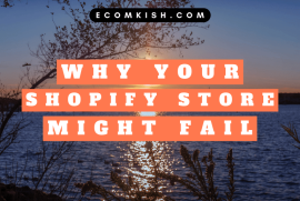 Reasons why your Shopify store might fail.