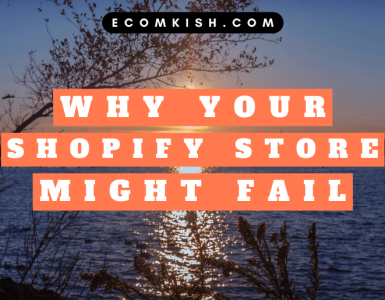 Reasons why your Shopify store might fail.