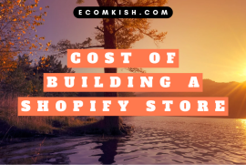 How much it costs to build a Shopify store.