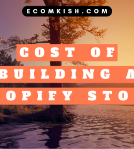 How much it costs to build a Shopify store.